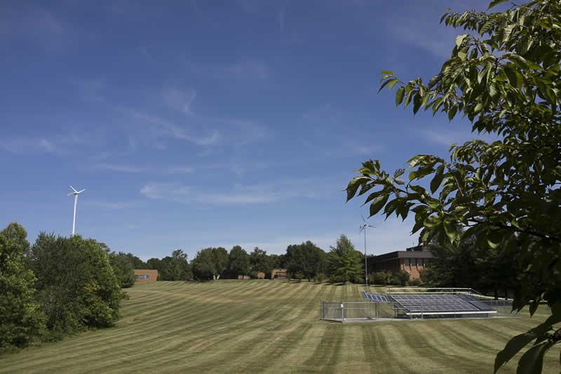 Photo of 十大网赌软件推荐 Campus Lawn Stripes